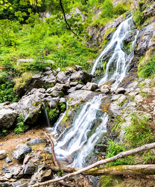 Todtnau Wasserfall im Schwarzwaldgebirge, Deutschland