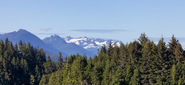 Tofino isla de vancouver columbia británica canadá vista del paisaje montañoso canadiense