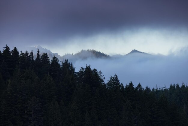 Tofino Vancouver Island British Columbia Kanada Blick auf die kanadische Berglandschaft