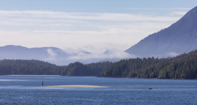 Tofino Vancouver Island Colúmbia Britânica Canadá