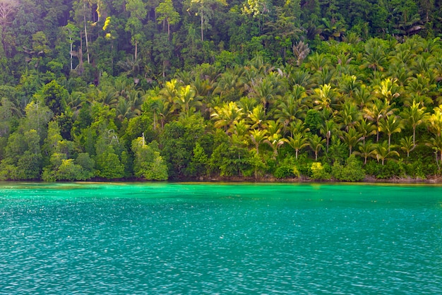 Togean Islands costa con exuberante selva verde en mar turquesa, Sulawesi, Indonesia.