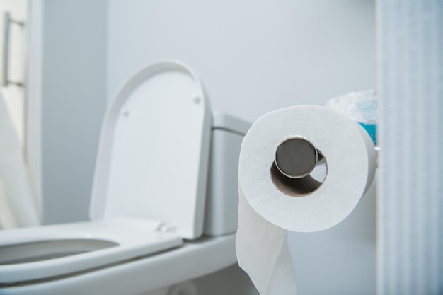 Toilette mit frischer Rolle Toilettenpapier