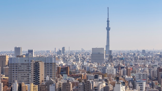 Tokio, Japan - 11. Februar 2016: Stadtbild von Tokio mit Tokyo Skytree oder Tokyo Sky Tree das höchste Bauwerk in Japan am 11. Februar 2016 in Tokio, Japan.
