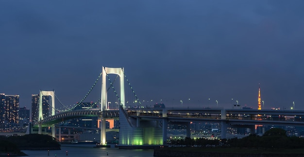 TOKIO ODAIBA JAPÓN Rainbow Bridge Estatua de la Libertad