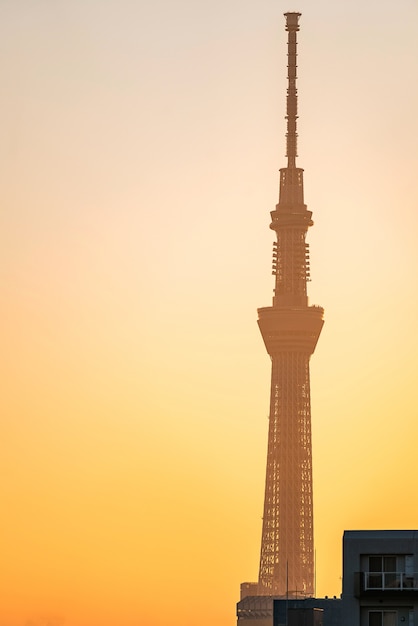 Tokio Skytree amanecer Ueno
