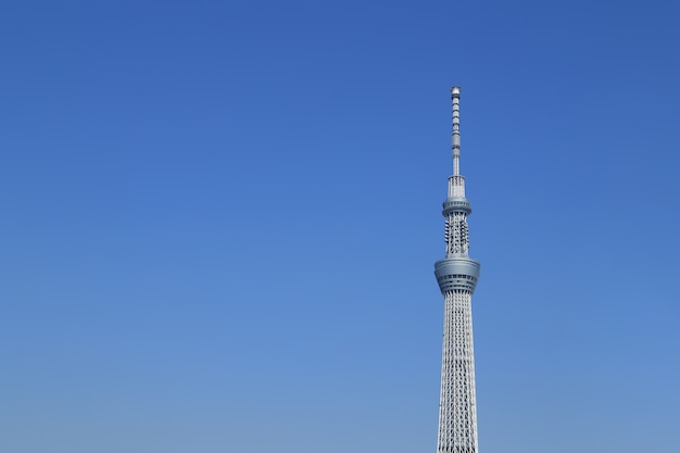 Tokyo-Himmelbaum mit blauem Himmel