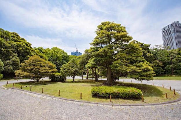 TOKYO JAPAN Mai - 18, 2019: Hamarikyu-Gärten im Bezirk Chuo, Tokio, Japan