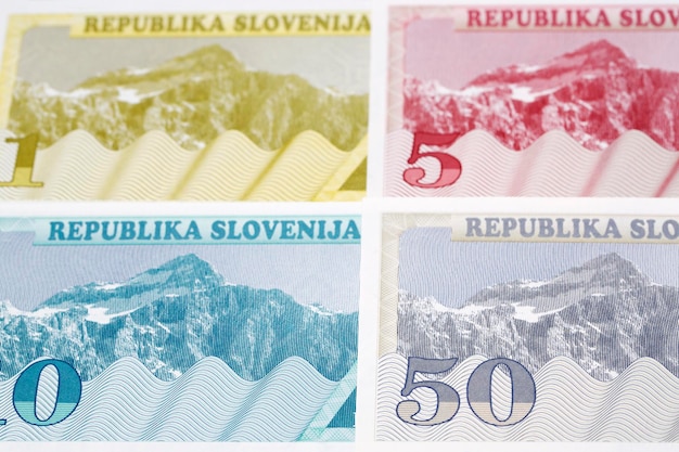 Tolar esloveno con antecedentes empresariales