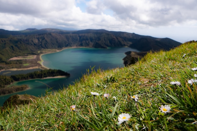 Toller Blick auf den See im Berg mit Blumen im Vordergrund. Dramatische und malerische Szene