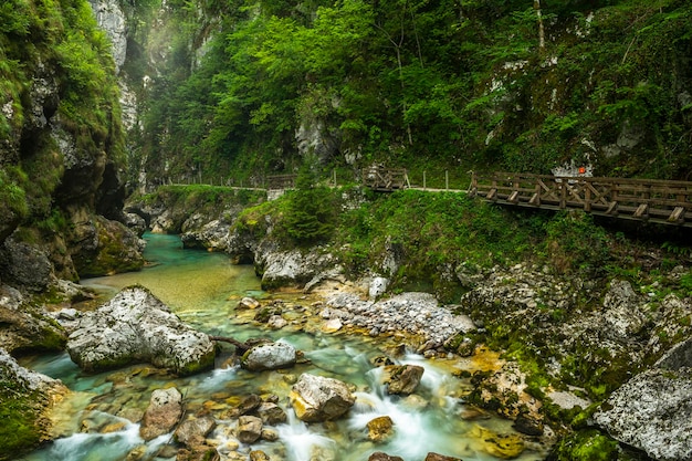 Tolmin Gorge Canyon en Eslovenia Soca Valley paredes cubiertas de musgo