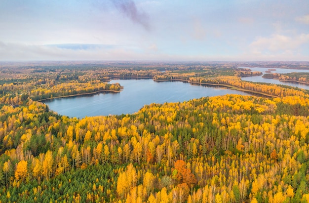 Toma aérea de bosque otoñal y lagos en la reserva natural de Sin'sha, Bielorrusia