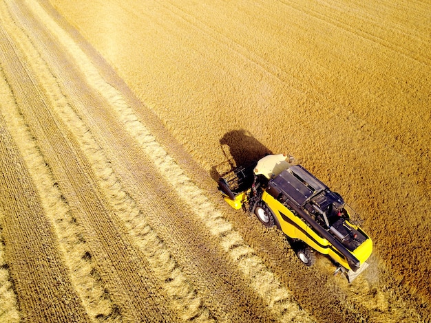 Toma aérea de cosechadora amarilla trabajando en campo de trigo. Perspectiva a vista de pájaro.