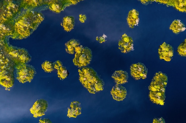 Toma aérea del pantano de Yelnya, Bielorrusia