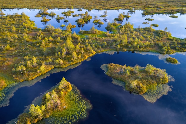 Toma aérea del pantano de Yelnya, Bielorrusia