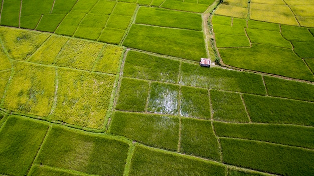 Toma aérea de Rice Terrace