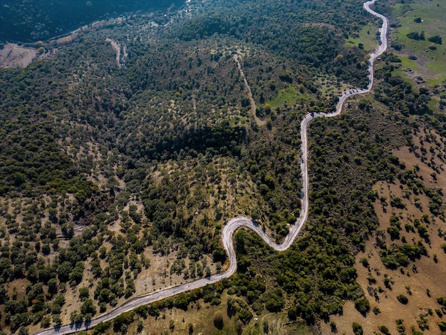 Toma aérea sobre el bosque y la naturaleza