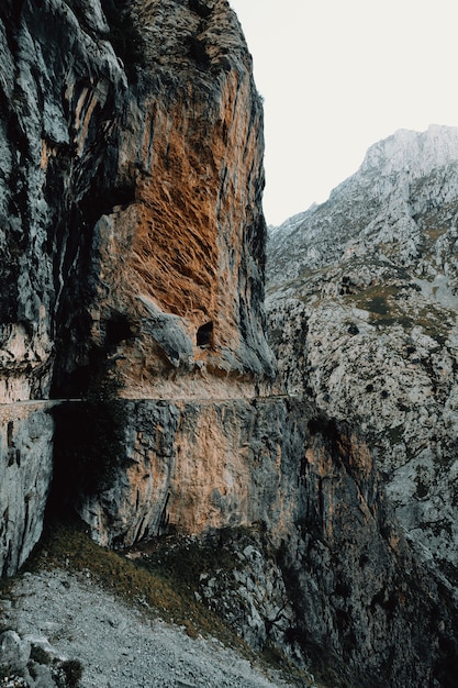 Toma ajardinada de la cordillera nevada