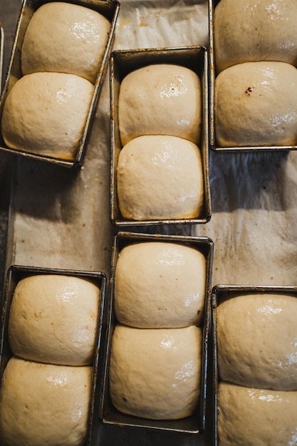 Toma en ángulo alto de pan brioche fresco sin cocer antes de hornear en el horno