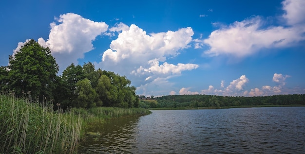 Toma en ángulo bajo del hermoso cielo capturado desde un lago en un campo