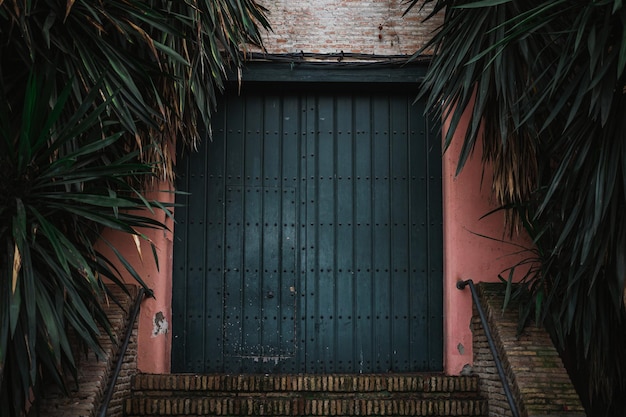 Toma de una antigua puerta de madera rodeada de palmeras