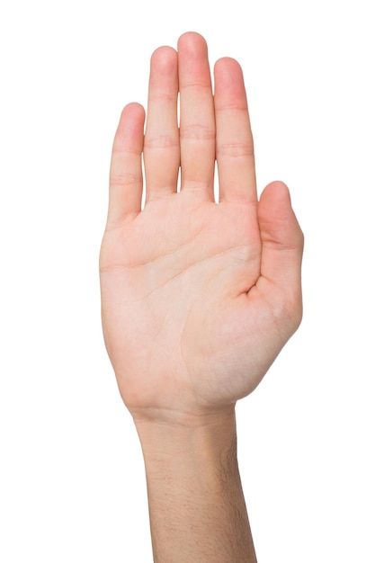 Foto toma cinco. gesto de la mano - palma abierta extendida sobre fondo blanco aislado, espacio de copia, primer plano
