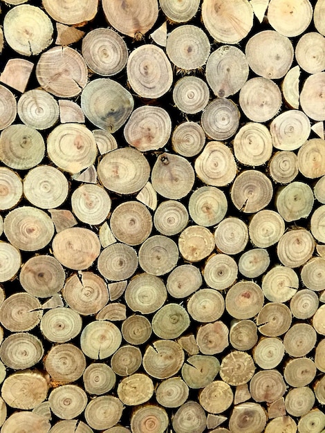 Toma de detalle de leña.