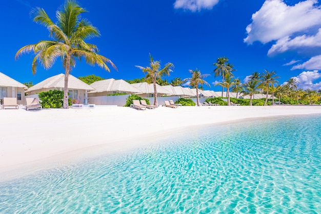 Toma panorámica de una isla tropical, Maldivas en un día soleado. Laguna oceánica, arena blanca, palmeras.