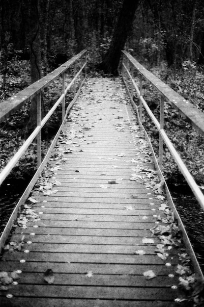 Toma en perspectiva en blanco y negro de un puente de madera forrado con hojas caídas