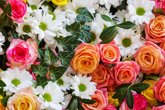 Toma de primer plano de las hermosas flores. Adecuado para fondo floral.