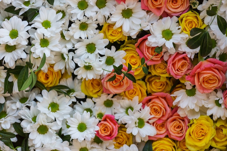 Foto toma de primer plano de las hermosas flores. adecuado para fondo floral.
