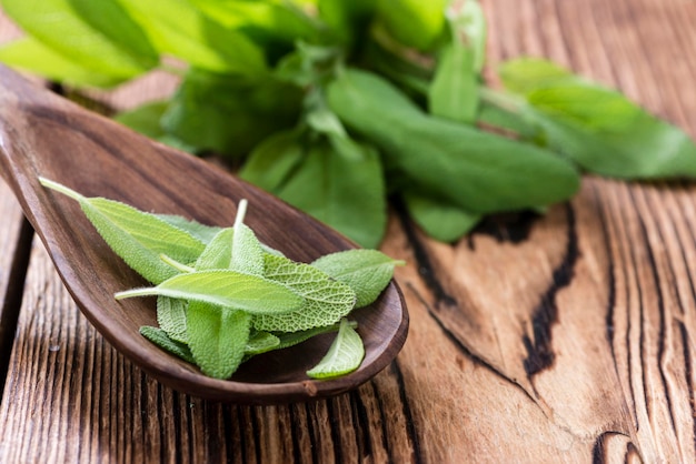 Toma de primer plano de salvia