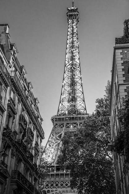 Una toma vertical en escala de gris de bajo ángulo de la Torre Eiffel, París, Francia