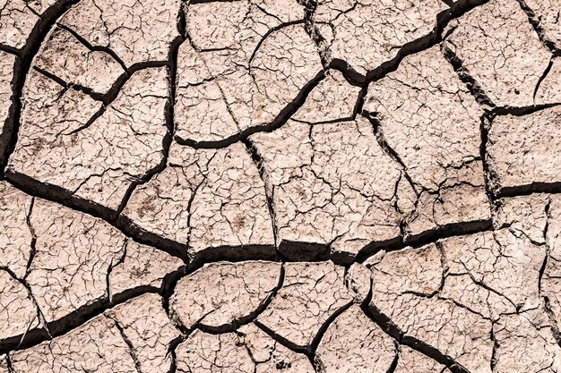 Foto tomada completa de la tierra agrietada