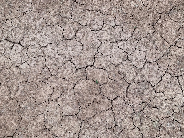 Tomada completa de la tierra agrietada