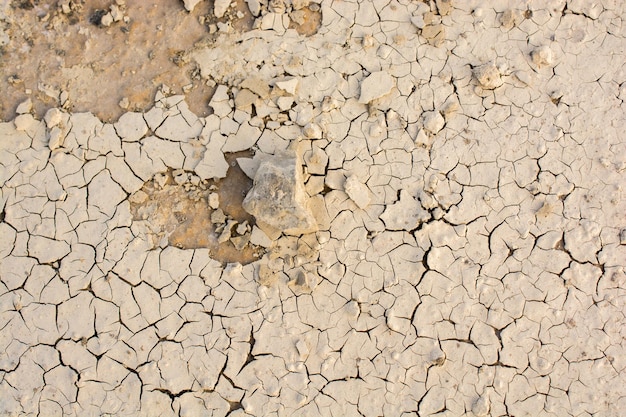 Foto tomada completa de la tierra agrietada