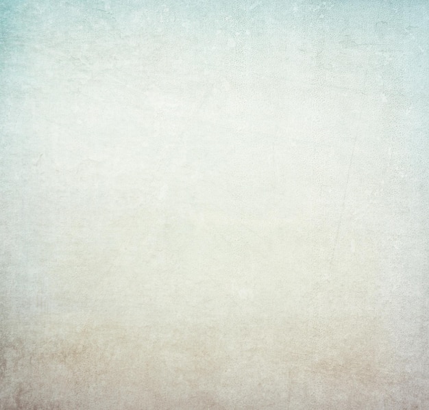 Tomada de cuadro completo de fondo blanco
