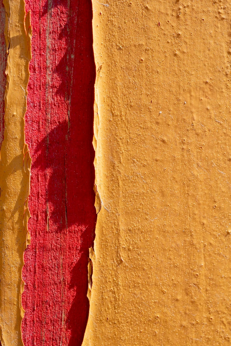Foto tomada de cuadro completo de la pared multicolor