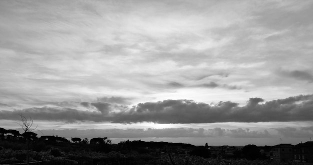 Foto tomada panorámica de árboles contra el cielo