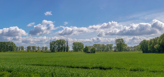 Foto tomada panorámica del campo contra el cielo