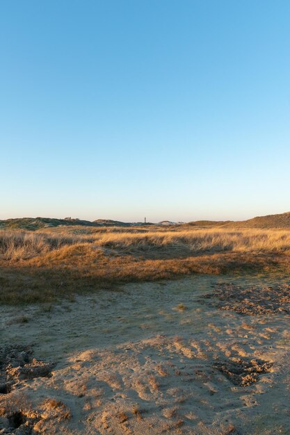 Tomada vertical de un campo seco costero en Norderney