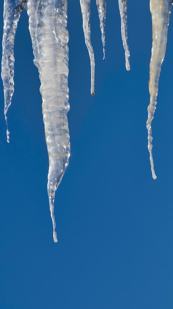 Foto tomada vertical de derretimiento múltiple de hielo colgando de arriba hacia abajo en el cielo azul con espacio de copia