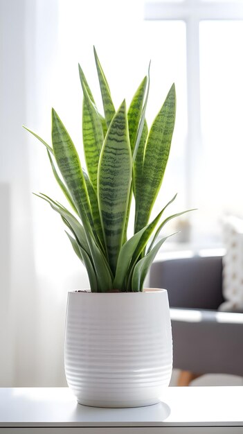 Tomada vertical de una planta en una olla blanca dentro de una habitación luz natural genial para una decoración de la habitación