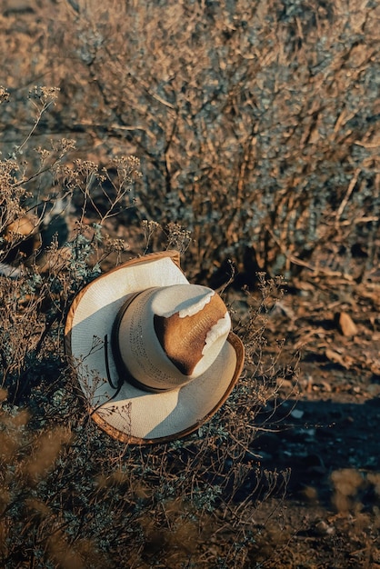 Tomada vertical del sombrero de vaquero marrón y blanco en las plantas secas en un día soleado