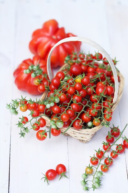 Tomate acanalado americano y cereza pequeña en ramas