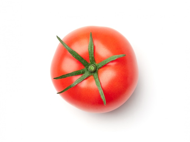 Tomate aislado en blanco