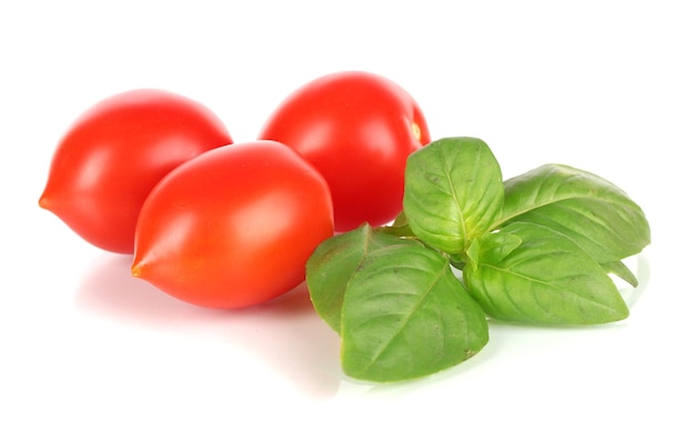 Tomate y albahaca aislado en blanco