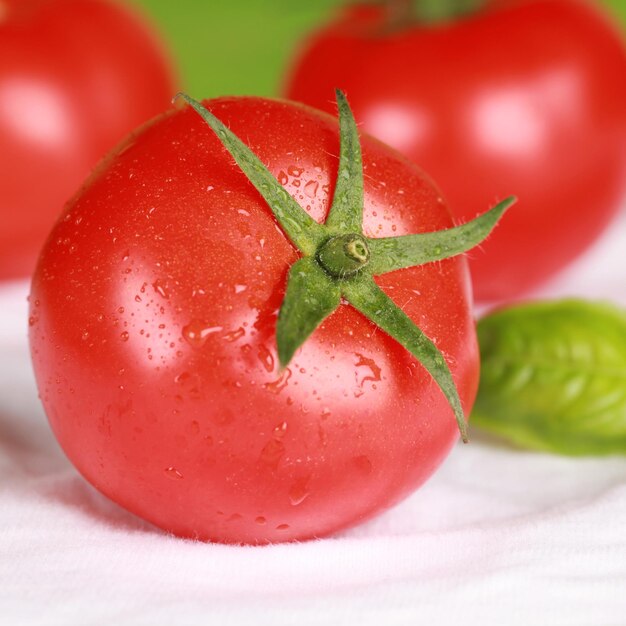 tomate con albahaca