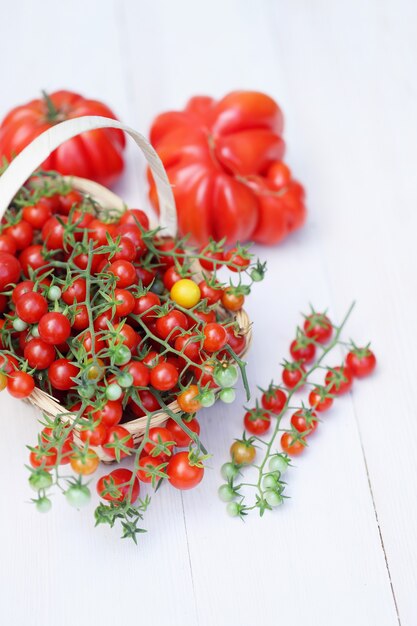 Tomate americano com nervuras e pequena cereja nos galhos