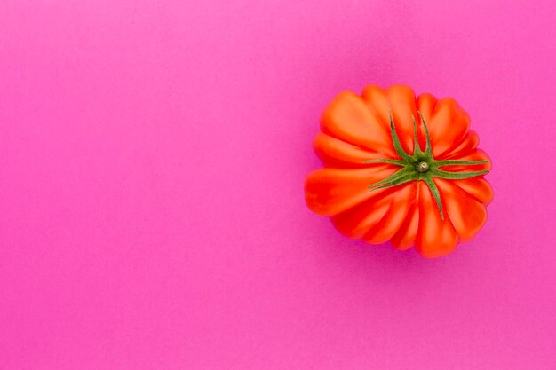 Tomate auf dem Farbhintergrund.