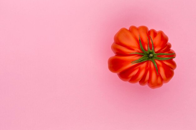 Tomate auf dem farbigen Hintergrund